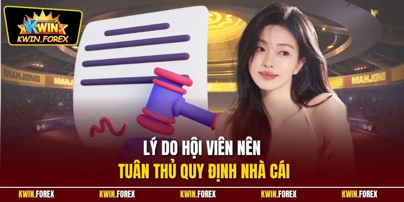 Lý do hội viên nên tuân thủ quy định nhà cái