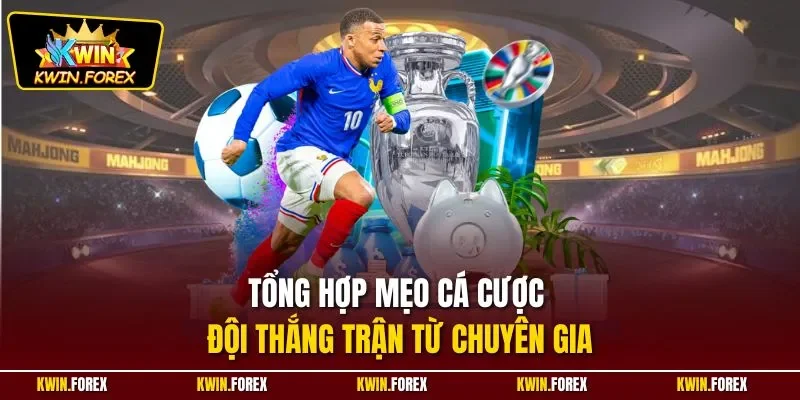 Tổng hợp mẹo cá cược đội thắng trận từ chuyên gia